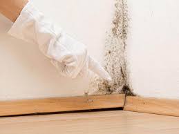 Best Environmental Consulting for Mold Prevention  in Dawson, TX